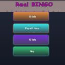 BINGO Real 4 bingo real 1