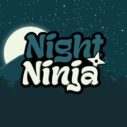 Night Ninja 8 night ninja 1