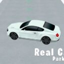 Real Car Parking 3D 3 real car parking 3d